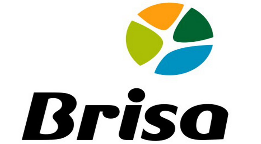 Brisa